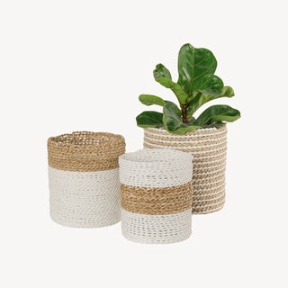 Plant Basket - White/Natural - Set of 3